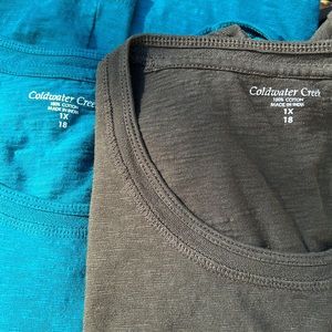 Coldwater Creek shirts, two for the price of one!